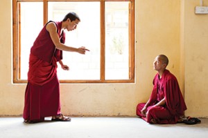 home_gallery_395x265_4