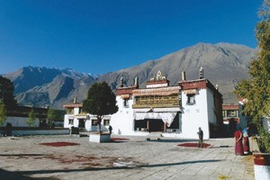 home_gallery_395x265_5