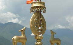 img_1255035263_966_lg
