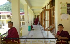 img_1255035369_898_lg