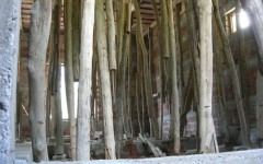 img_1255512121_469_lg
