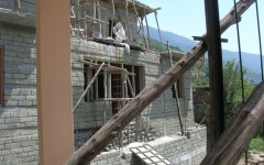 img_1255512150_785_lg