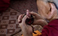 img_1255512839_460_lg