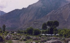 img_1255512923_919_lg