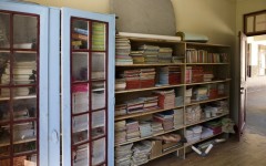 img_1255513645_570_lg