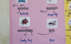 img_1255513650_883_lg