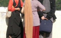 img_1255514916_699_lg
