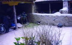 img_1260545666_449_lg