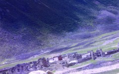 img_1260545671_384_lg