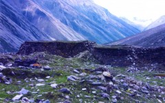 img_1260545686_808_lg