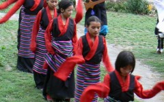img_1396542218_154_lg